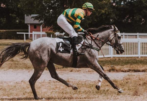 horse running with rider on its back