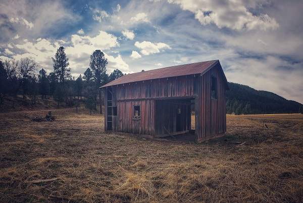 horse stall