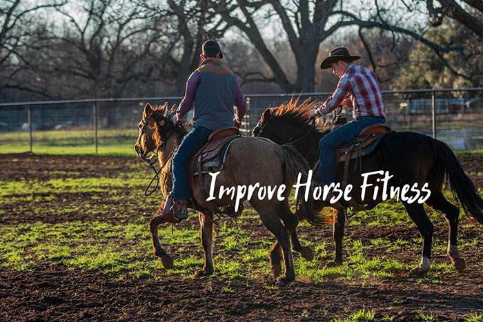 Improving Horse Fitness – Everything You Need to Know