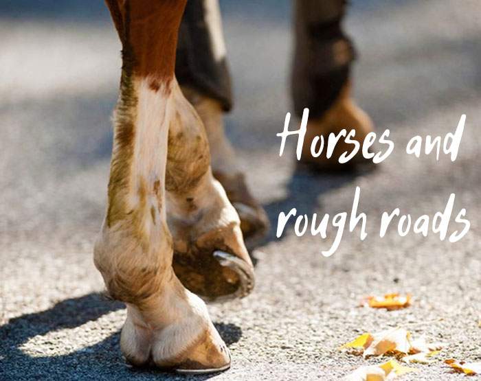 Should You Work a Horse on Hard Surfaces (Concrete/Tarmac)