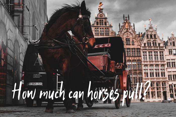 how much weight can horses pull