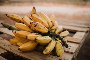 bananas