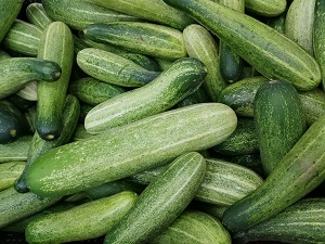 cucumbers