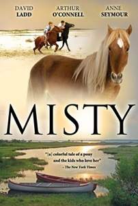 misty horse