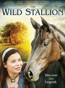 the wild stallion