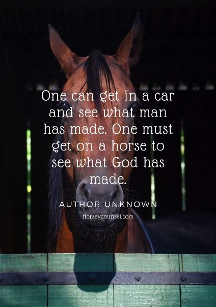 one can get in a car horse quote