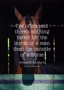 40 Best Horse Quotes & Proverbs for Equine Inspiration