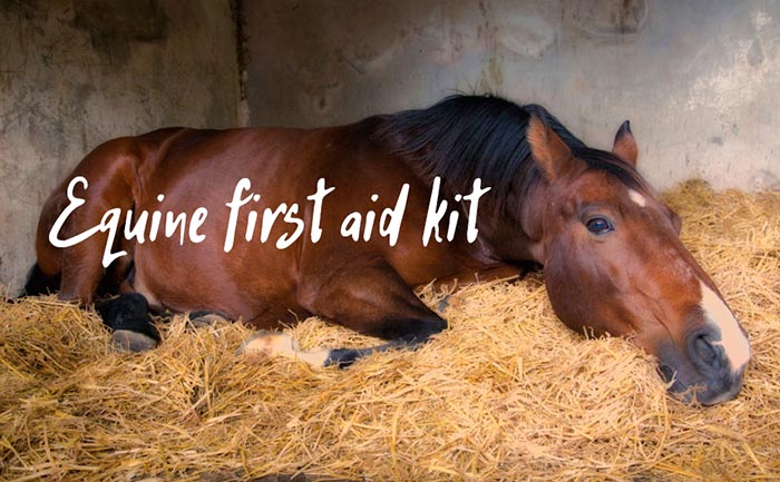 equine first aid kit