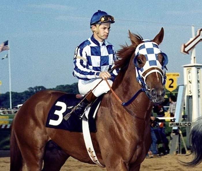 Secretariat horse