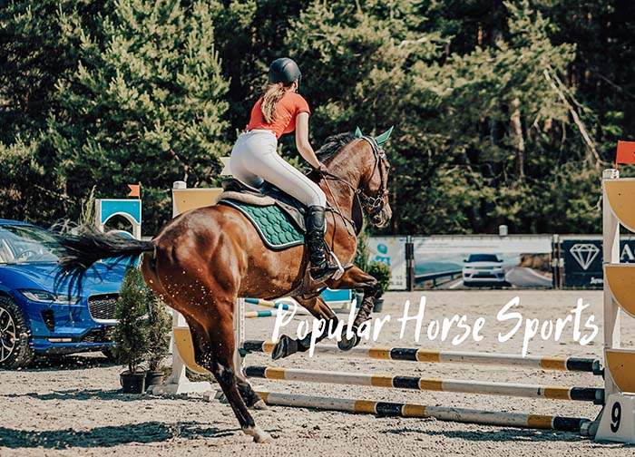 11 Most Important Horse Sports & Events
