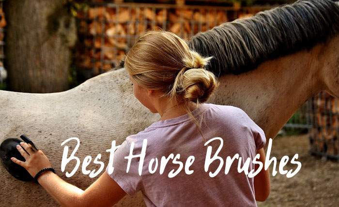 These Are the Best Horse Brushes of 2022