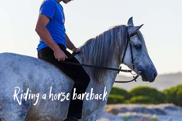 riding a horse bareback