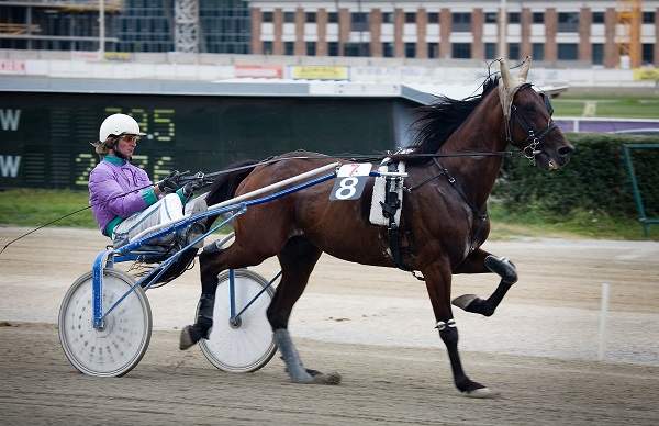 trotting racer carriage