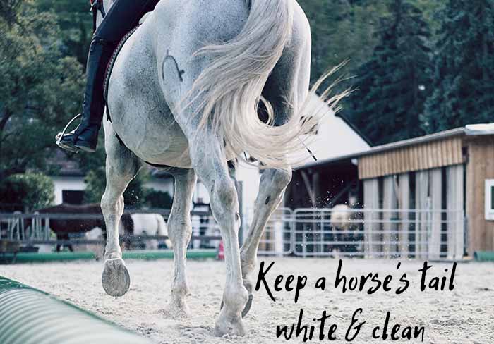 how to keep a horse's tail white and clean