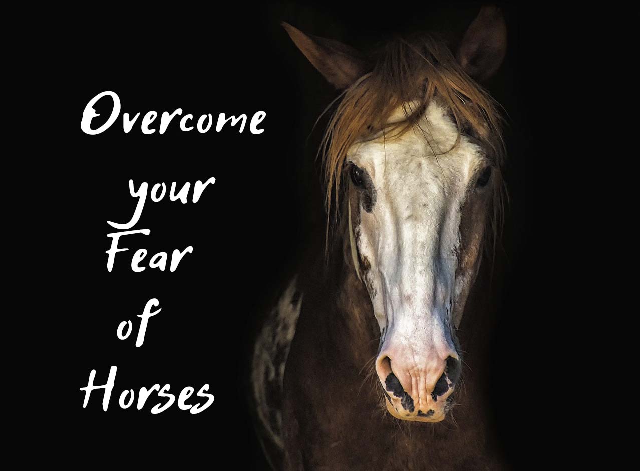 10 Steps to Overcome Your Fear of Horses That Actually Work