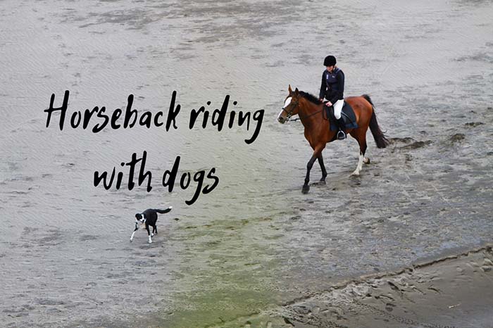 horseback riding with dogs