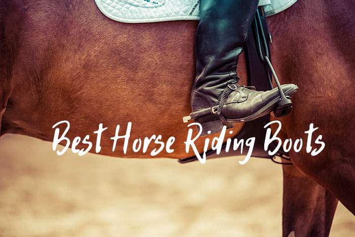 best horse riding boots for men and women