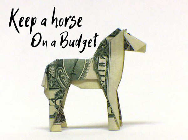 How to Take Care of a Horse on a Budget – My Best Tips