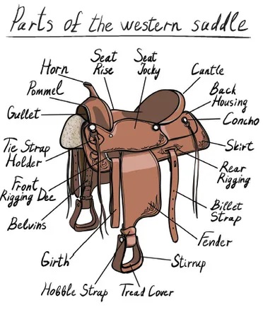 western saddle parts