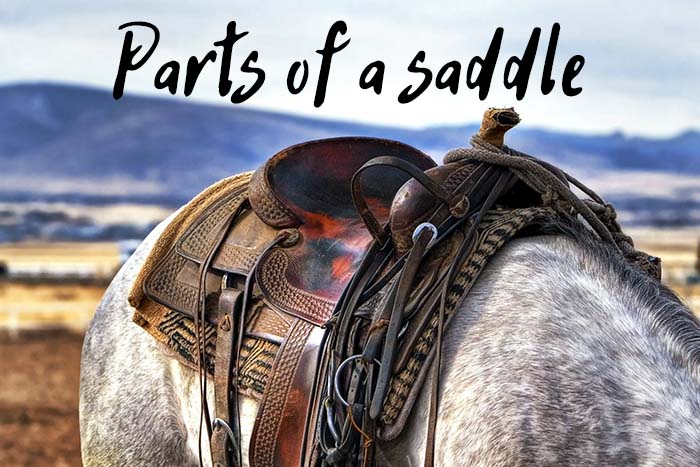 parts of a saddle