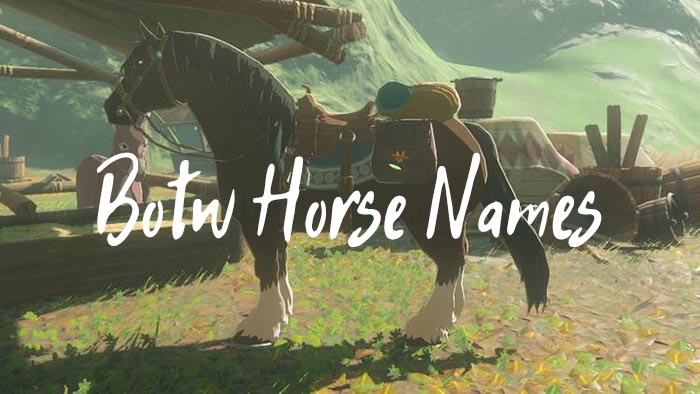 BOTW Horse Names (500+ Horse Name Ideas For Breath of the Wild)