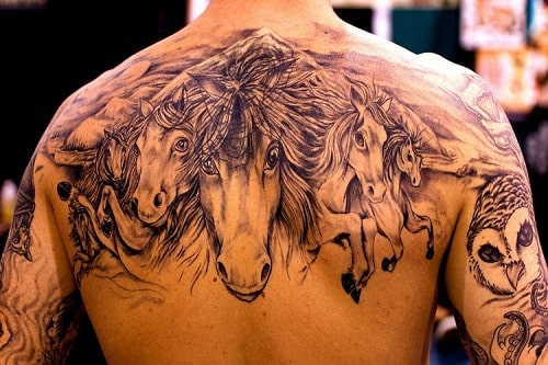 19 Horse Head Tattoo Designs For Men  Women