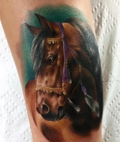 Children 4 Horses Horse Gets Tattoo To Save Eye