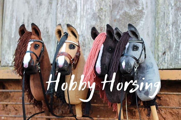 hobby horsing