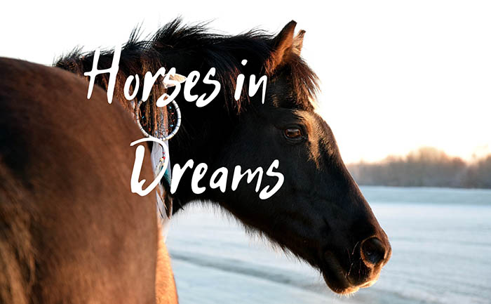 dreams about horses