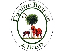 aiken equine rescue