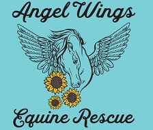 angel wings equine rescue