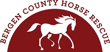 bergen county horse rescue