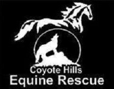 coyote hills equine rescue