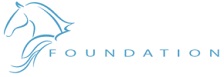 equis save foundation