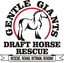 gentle giants horse rescue