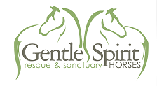 gentle spirit horse rescue south dakota