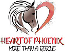 heart of phoenix horse rescue