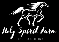 holy spirit farm