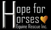 hope for horses