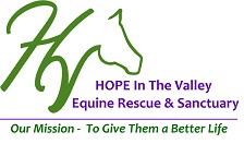 hope in the valley equine rescue