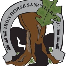 iron horse sanctuary