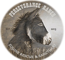 perseverence ranch