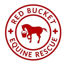 red bucket horse rescue