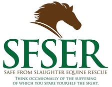 safe from slaughter equine rescue