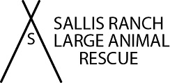 sallis ranch horse rescue