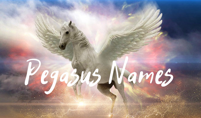 100 Pegasus Names For Your Inspiration