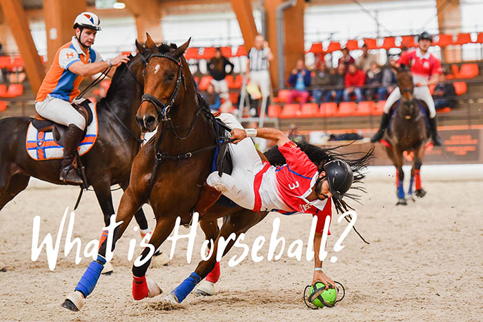What Is Horseball and Why Is It Sometimes Called Quidditch?