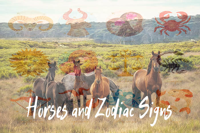 horse breed based on zodiac