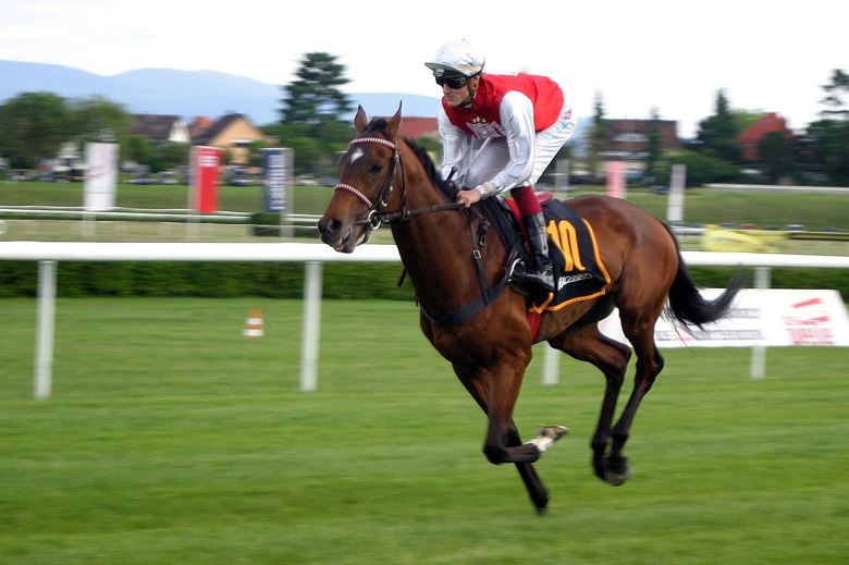 Jockey and Horse Mid Race